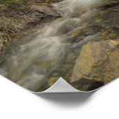 Poster Tangle Falls (Coin)