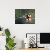 Poster - Tangled Web (Thuiskantoor)