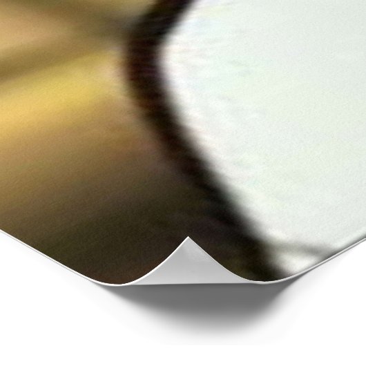 Poster Tanjiro Kamado (Coin)