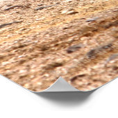 Poster TANK DE BATAILLE - M1 Abrams (Coin)