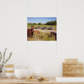 Poster Tant de chevaux // Trois voitures rouillées (Cuisine)