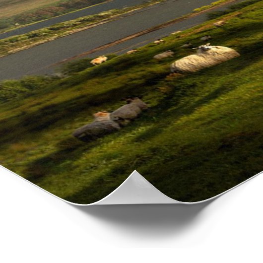 Poster Tant d'Irlande (Coin)