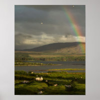 Tant d'Irlande