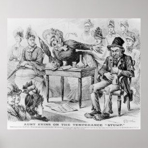 Poster Tante Evins sur la tempête 'Stump'