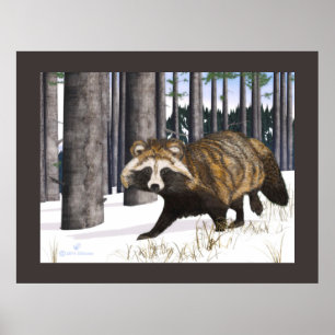 Poster Tanuki - Raccoon Chien