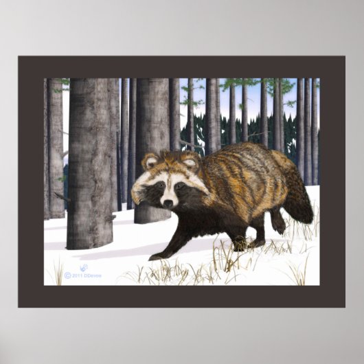 Poster Tanuki - Raccoon Chien (Devant)