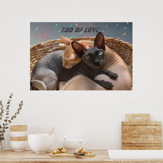 Poster Tao of Love - Deux Chats Sphynx Personnalisés (Cuisine)