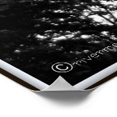 Poster Tao Te Ching/Sunset Tree B&W Photographie (Coin)