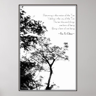 Poster Tao Te Ching/Sunset Tree B&W Photographie