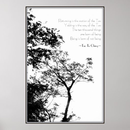 Poster Tao Te Ching/Sunset Tree B&W Photographie (Devant)