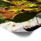 Poster Taormina view 1 (Coin)