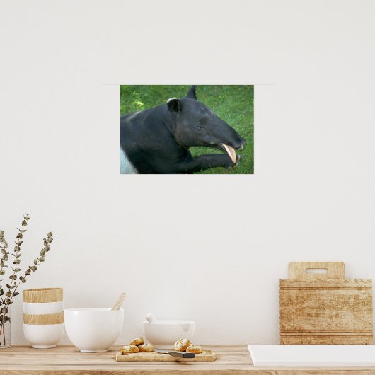Poster Tapir (Cuisine)