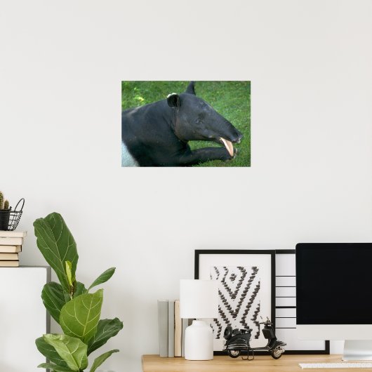 Poster Tapir (Bureau à domicile)