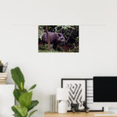 Poster Tapir brésilien (Tapirus terrestre) (Bureau à domicile)