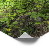 Poster Tapis d'ail sauvage avec ombres d'arbre (Coin)