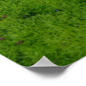 Poster Tapis de mousse - Puisse la route - Bénédiction ir (Coin)