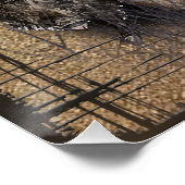 Poster Tapisserie allemande Jagdterrier (Coin)