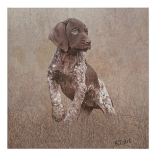 Poster tapisserie de chiot à pointes courtes allemande