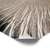 Poster Tapisserie de Great Blue Heron (Coin)