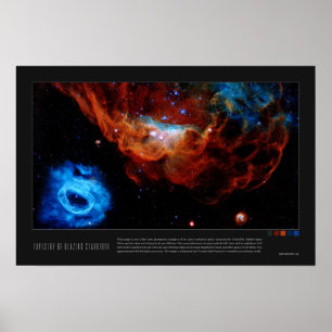 Poster Tapisserie de starbirth à lame (NGC 2014, NGC 2020