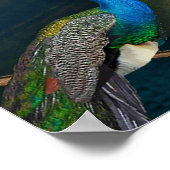 Poster Tapisserie murale Kuan Yin (Coin)