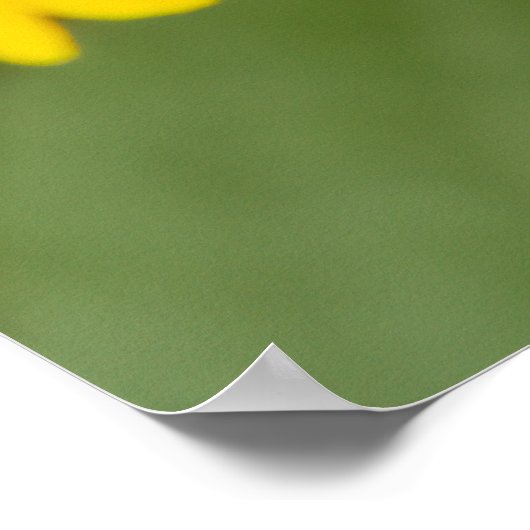 Poster Tapping In (Coin)