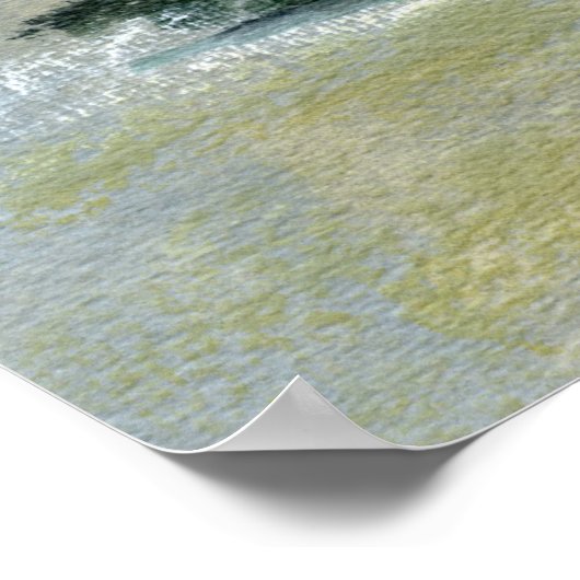 Poster Taprabane  2 (Coin)