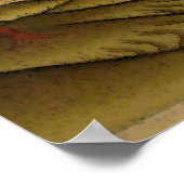 Poster Tara Femme Bouddha Bodhisattva Jetsun Dolma (Coin)