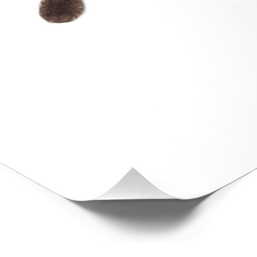 Poster Tarantula (Coin)