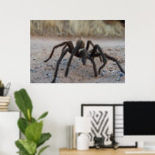 Poster Tarantula (Bureau à domicile)