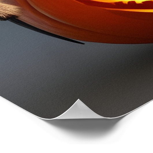 Poster Tarantula drôle avec Halloween Jack O' Lantern (Coin)