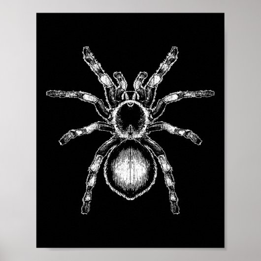 Poster Tarantula énorme araignée Phobia Costume d'Hallowe (Devant)