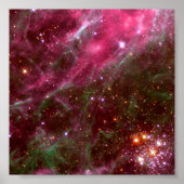 Poster Tarantula Nebula (télescope Hubble) (Devant)