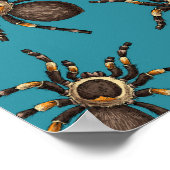 Poster Tarantula sur bleu (Coin)