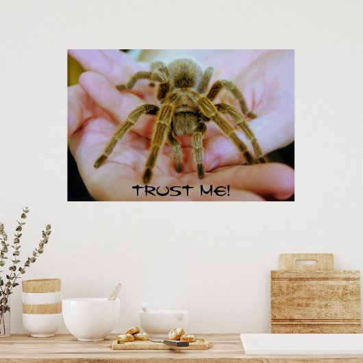 Poster Tarantula, Trust Me! (Cuisine)