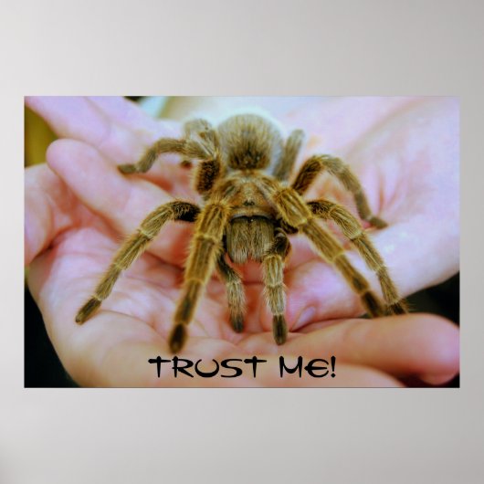 Poster Tarantula, Trust Me! (Devant)