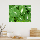Poster Taro variable (Cuisine)