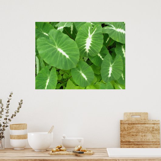 Poster Taro variable (Cuisine)