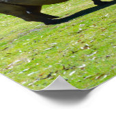 Poster Taronga Western Plains Zoo Dubbo - Rhino (Coin)