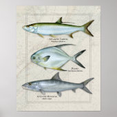 Poster Tarpon, Permis, Trio Bonefish (Devant)