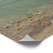 Poster Tarpon Springs, FL - Vue sur le bateau et la mer p (Coin)