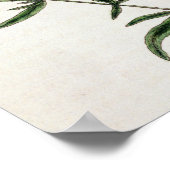Poster Tarragon, plate 116 from A Curious Herbal, publi (Coin)