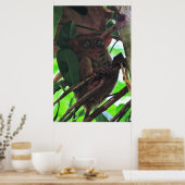 Poster Tarsier (Cuisine)