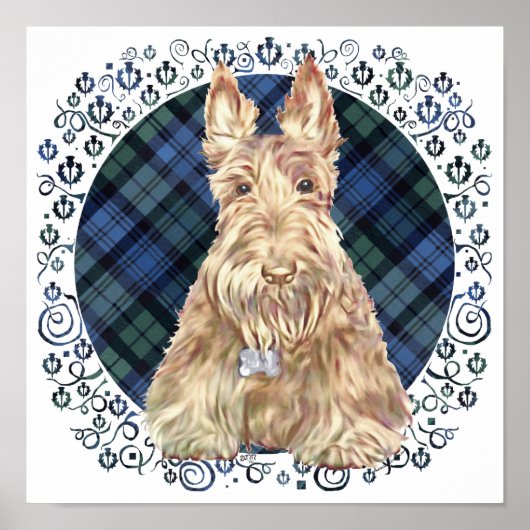 Poster Tartan Black Watch (Devant)