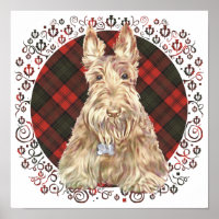 Tartan Scottie Blé