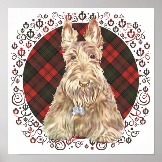 Poster Tartan Scottie Blé (Devant)