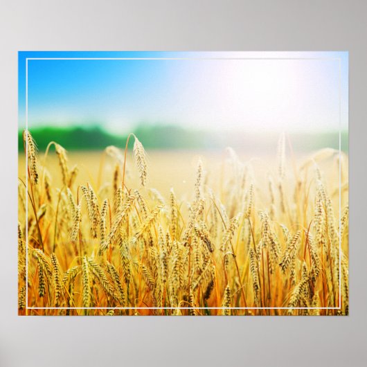 Poster-tarwe Poster (Voorkant)