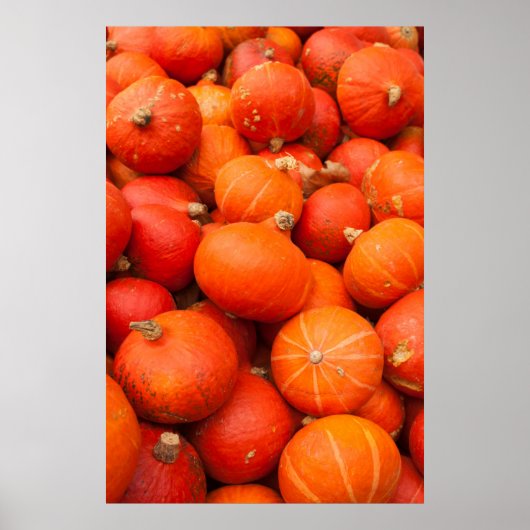 Poster Tas de petits citrouilles, Allemagne (Devant)