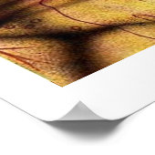 Poster tasilli, nord-afrique grotte dessin c.6000 bc (Coin)