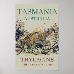 Poster Tasmanie tigre, thylacine, Tasmanie Australie